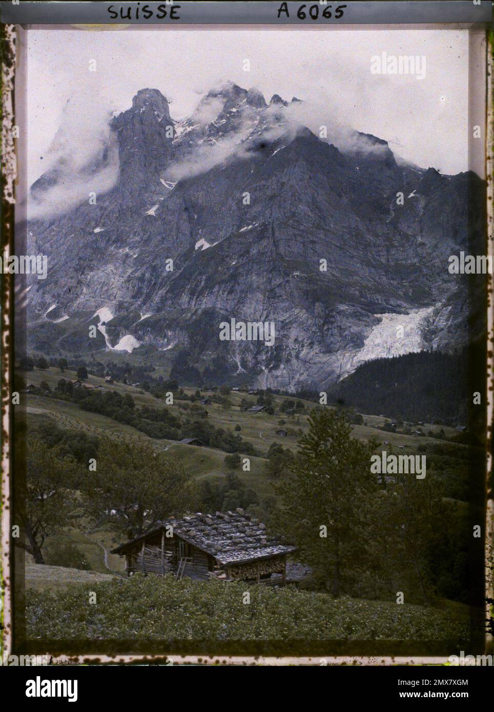 Grindelwald, Suisse Grindelwald, Le Wetterhorn et le Glacier de