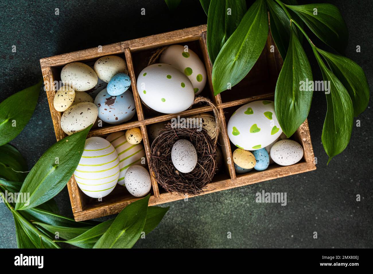 From above spring Easter wooden box with colored eggs and nest surrounded by italian Ruscus plant Stock Photo