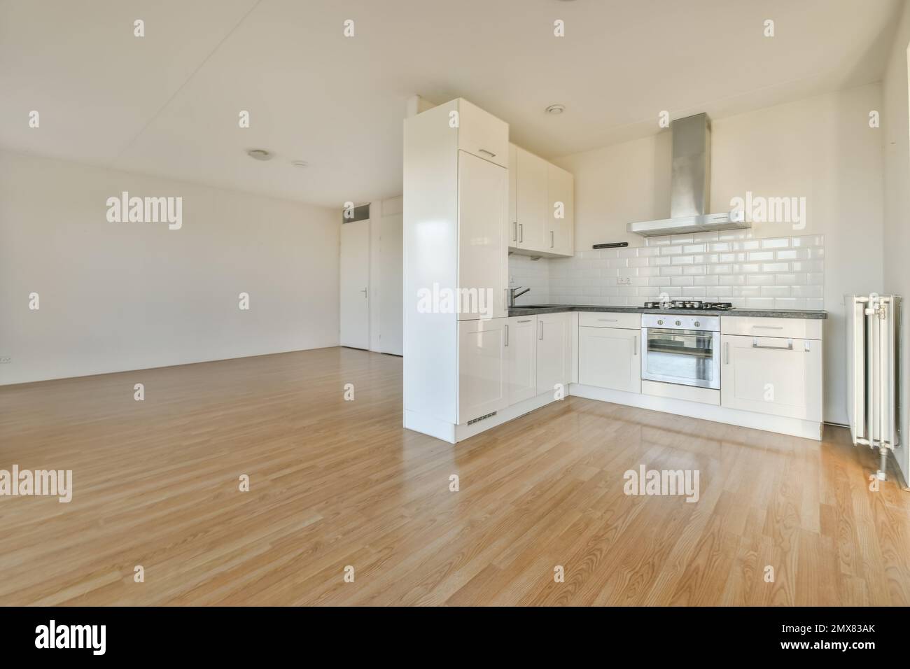 Interior of modern kitchen with cabinets and built in appliances in ...