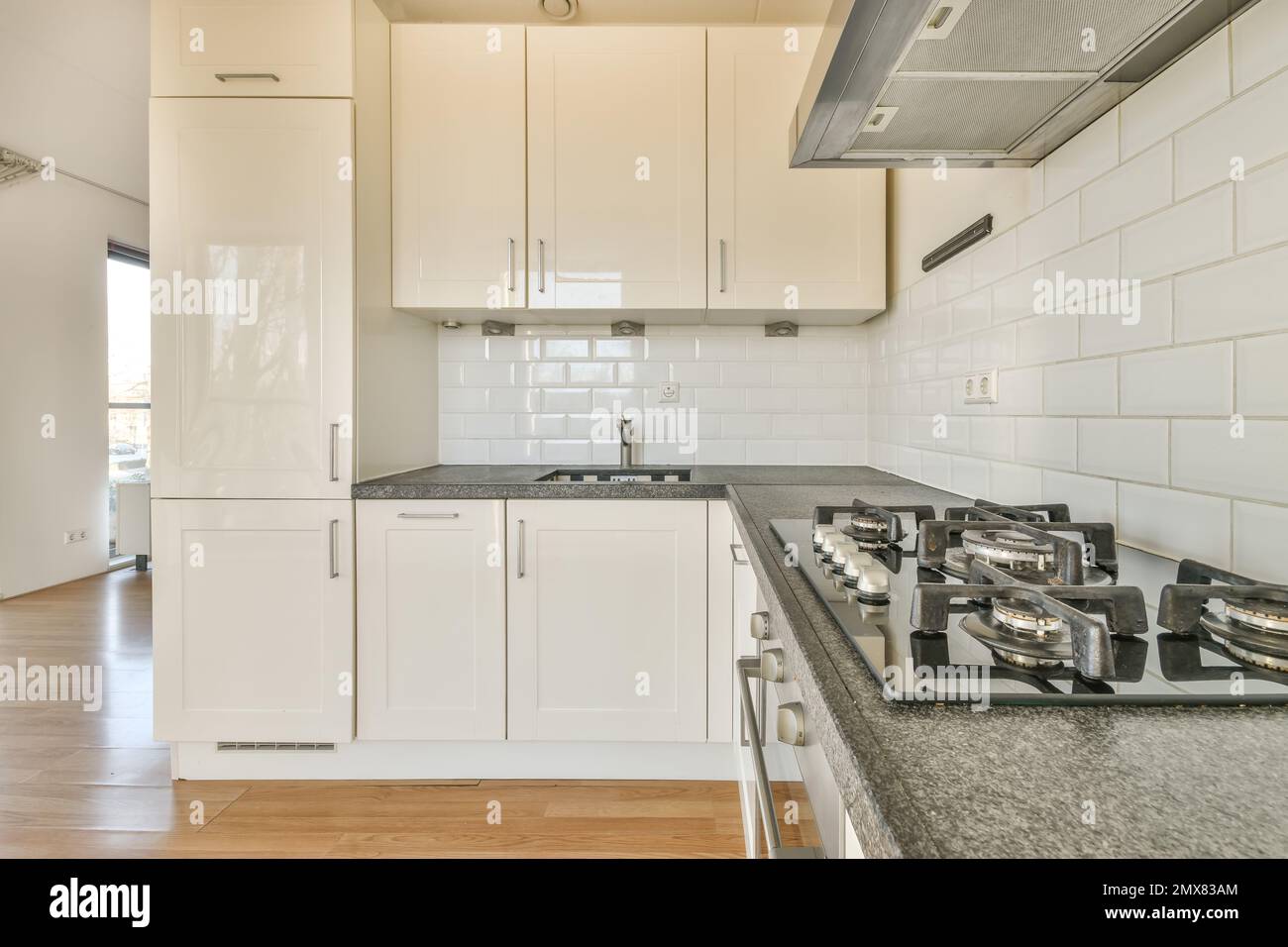 Interior of modern kitchen with cabinets and built in appliances in ...