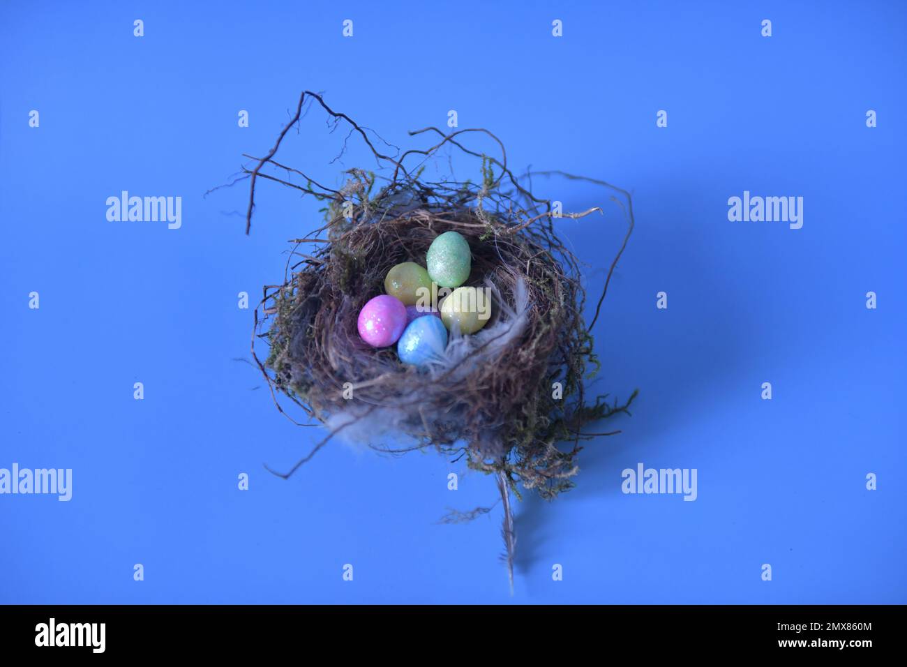 High angle view of tiny colorful eggs in real bird's nest. Stock Photo