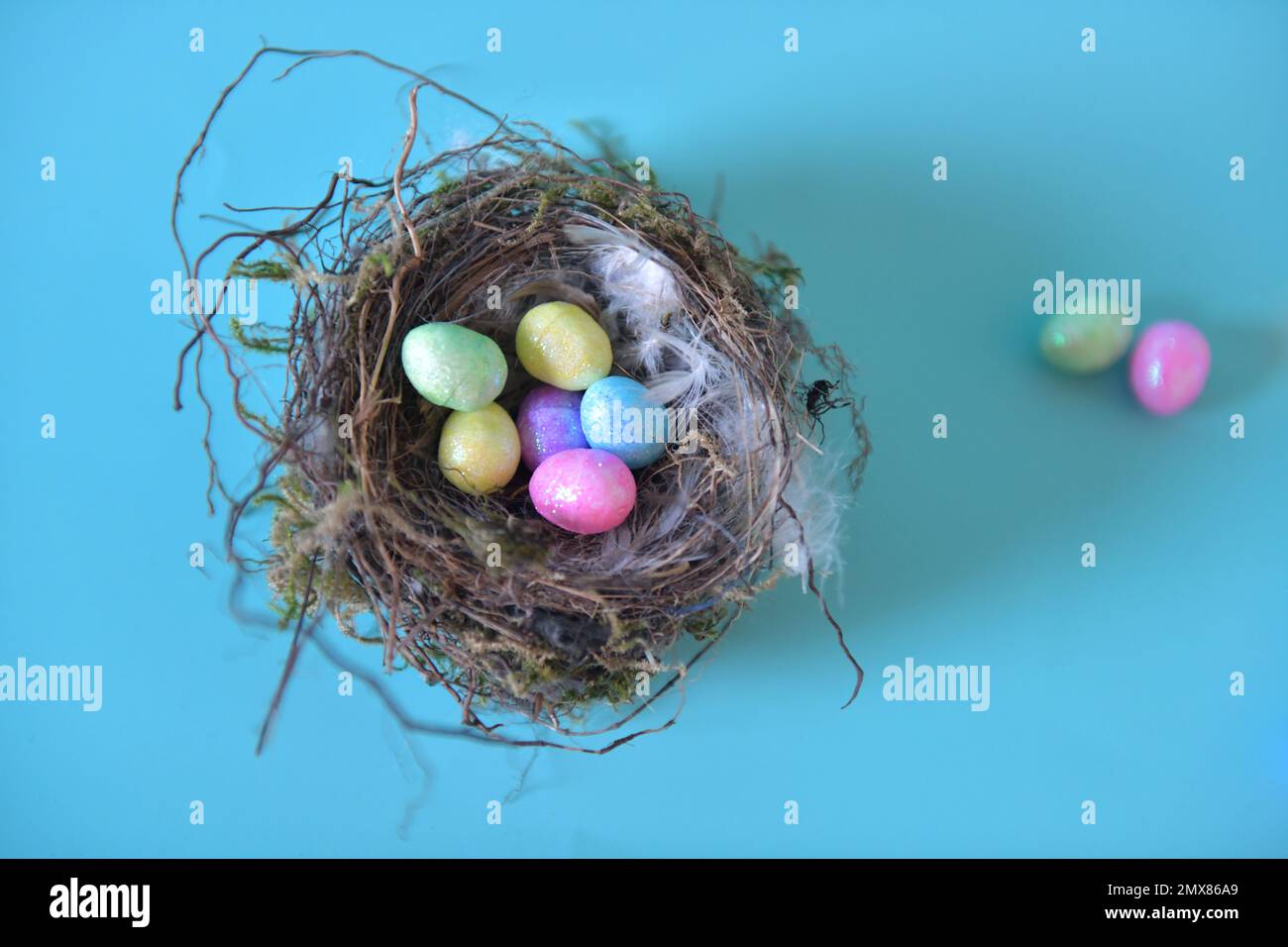 Top view of real bird's nests filled with artificial Easter eggs in multiple colors.  Two more eggs in the background. Stock Photo