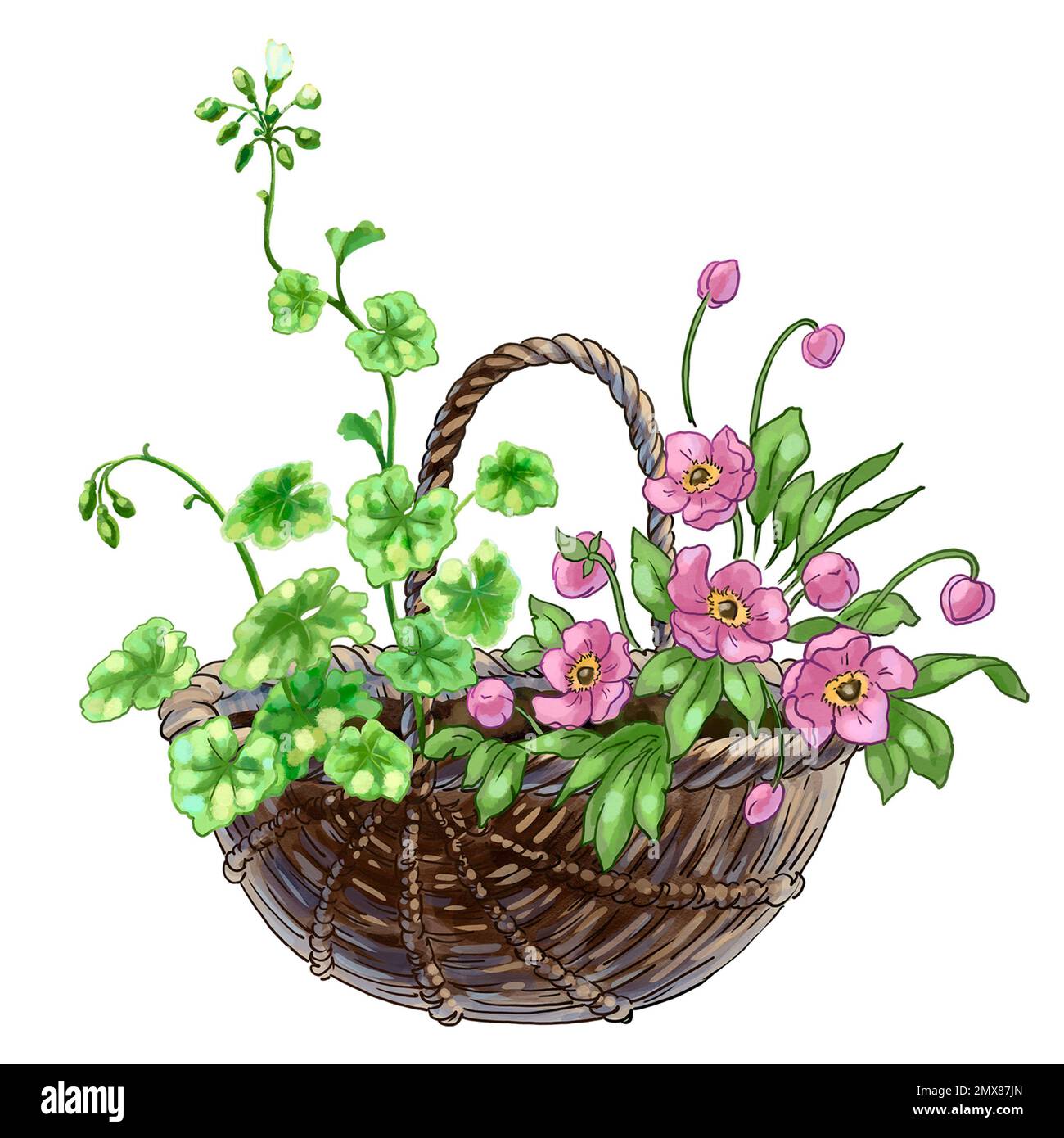 illustration of a garden basket with flowers. High quality illustration