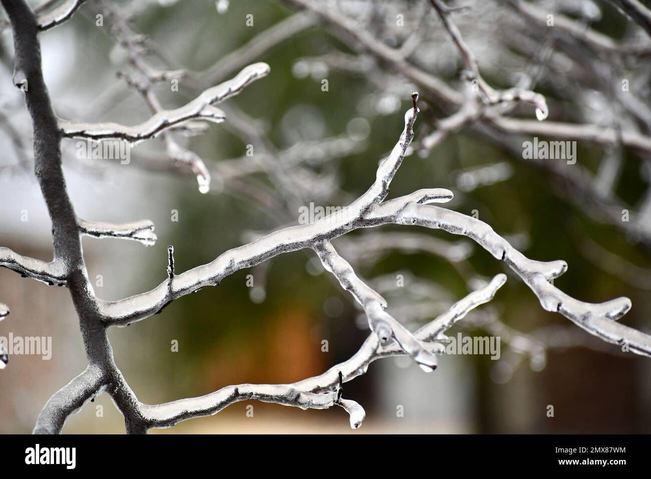 Ice storm power outage hi-res stock photography and images - Alamy