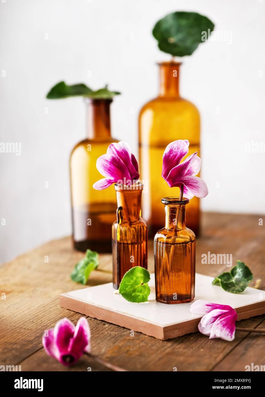 Still life with small bouquet of purple cyclamen flowers in brown pharmacy glass bottles on a wooden table. Stock Photo
