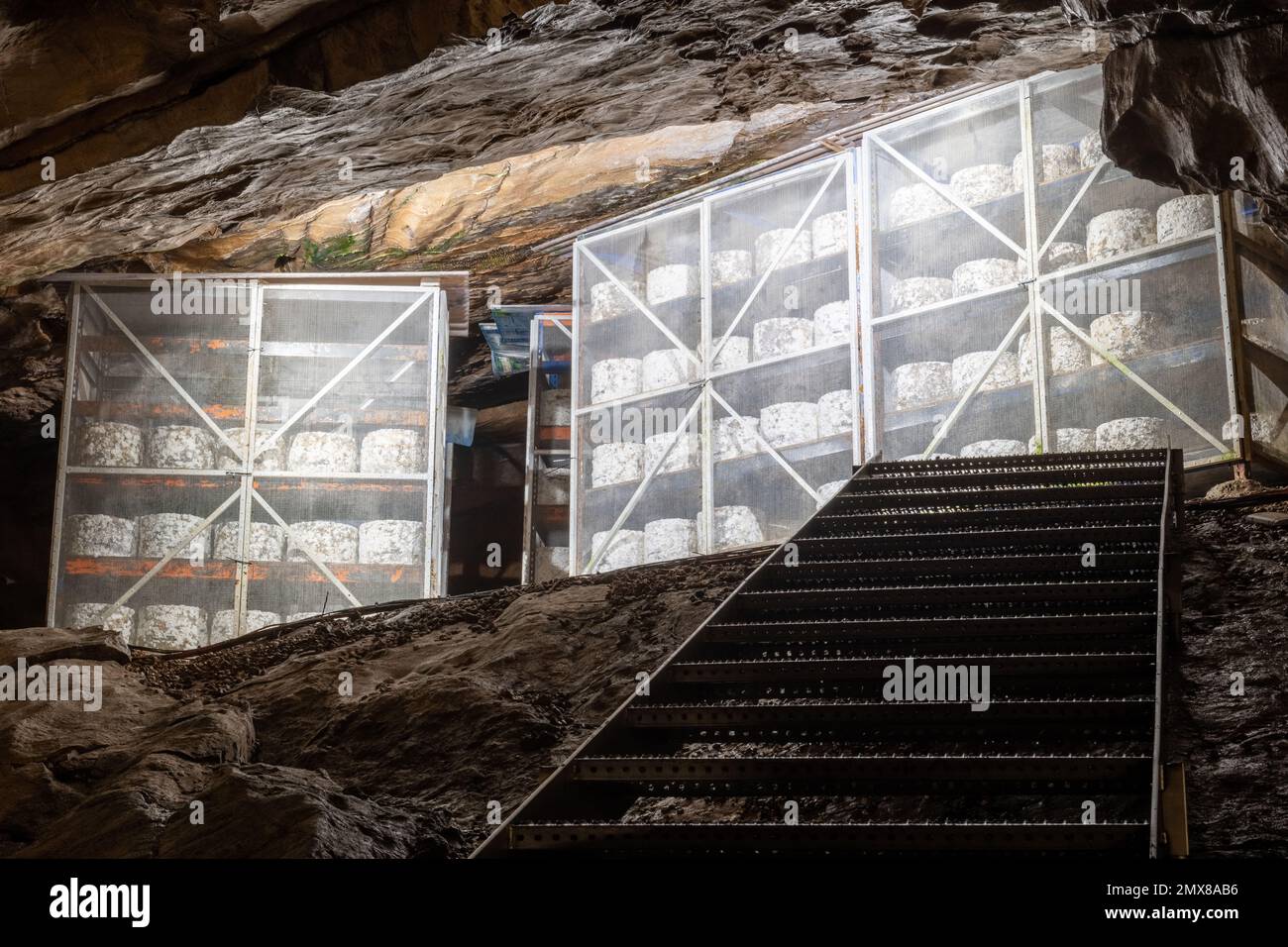 Cheddar cheese maturing in Goughs Cave in Cheddar in Somerset Stock
