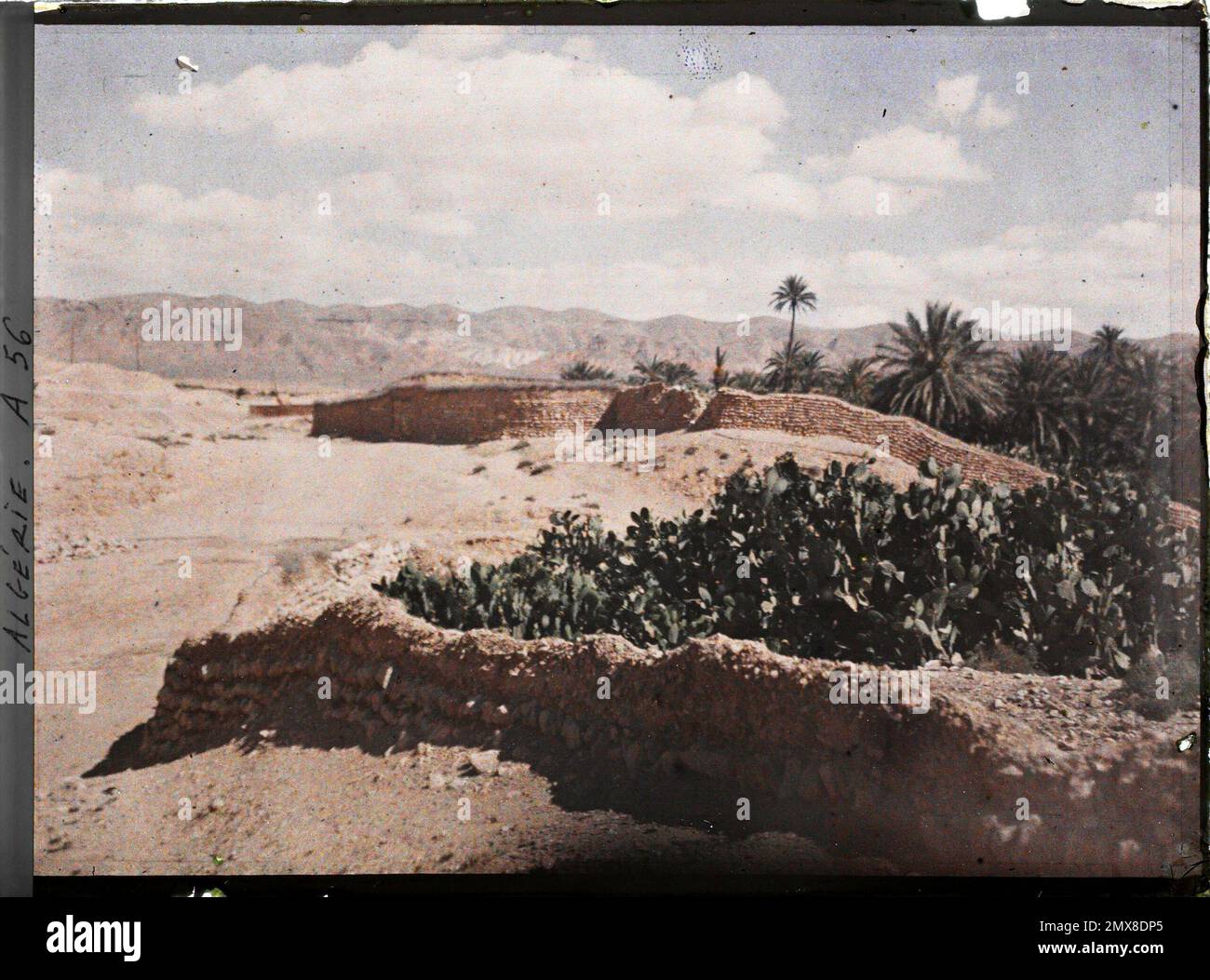 El Kantara, Algeria The walls of the closing of gardens and palm groves probably in the red village , 1909 or 1910 - Algeria, Tunisia - Jules Gervais -Courtellemont and Souvieux Stock Photo