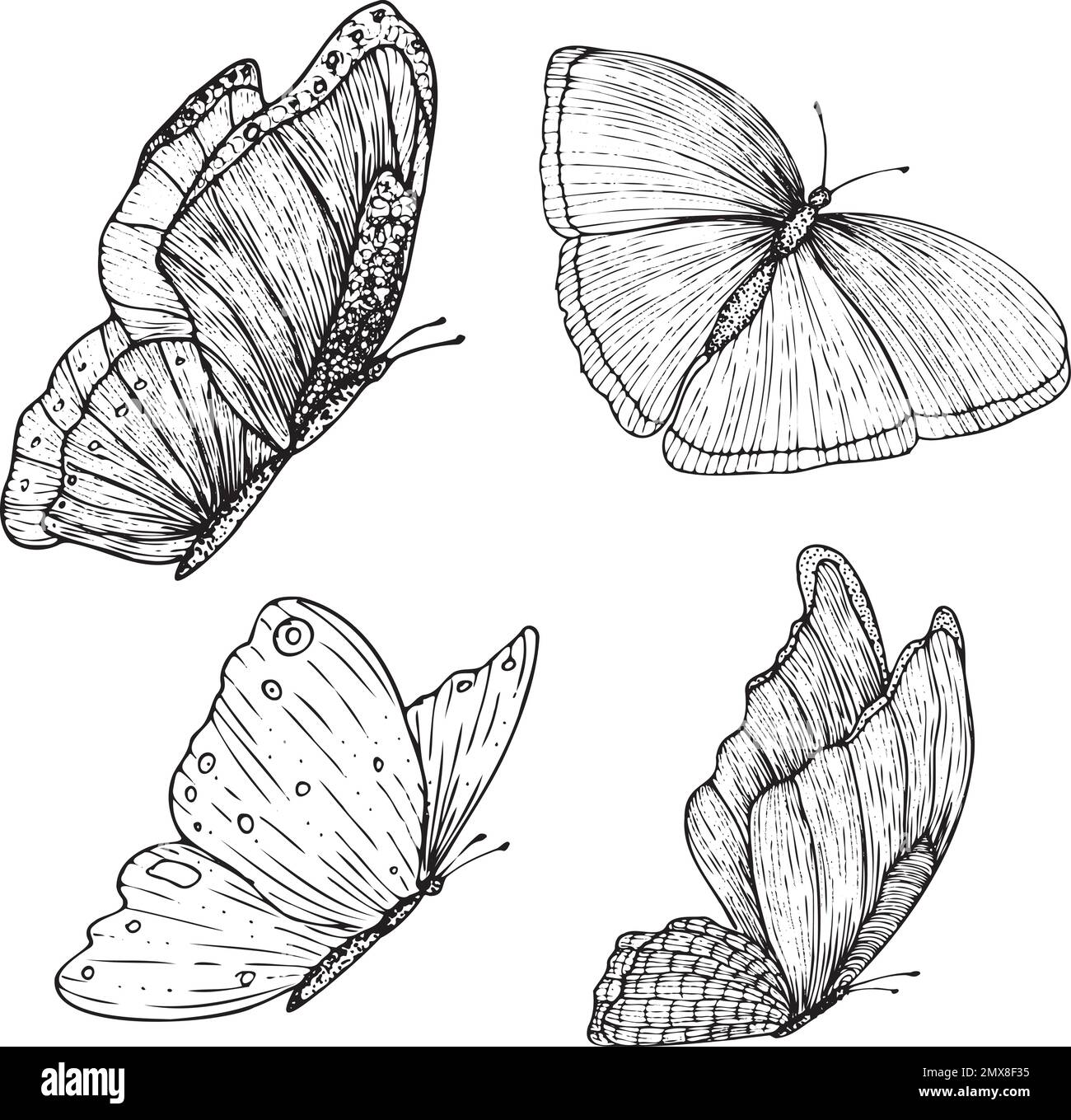 Set of decorative butterflies. Set of butterflies silhouettes isolated ...