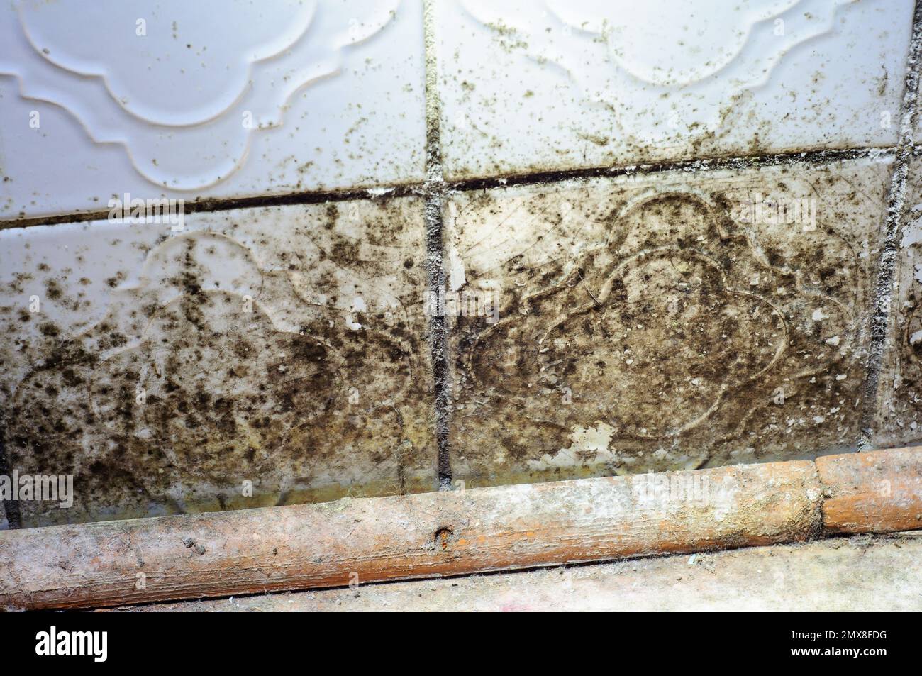 Black mold on the tiles in the bathroom. Consequences of wall freezing