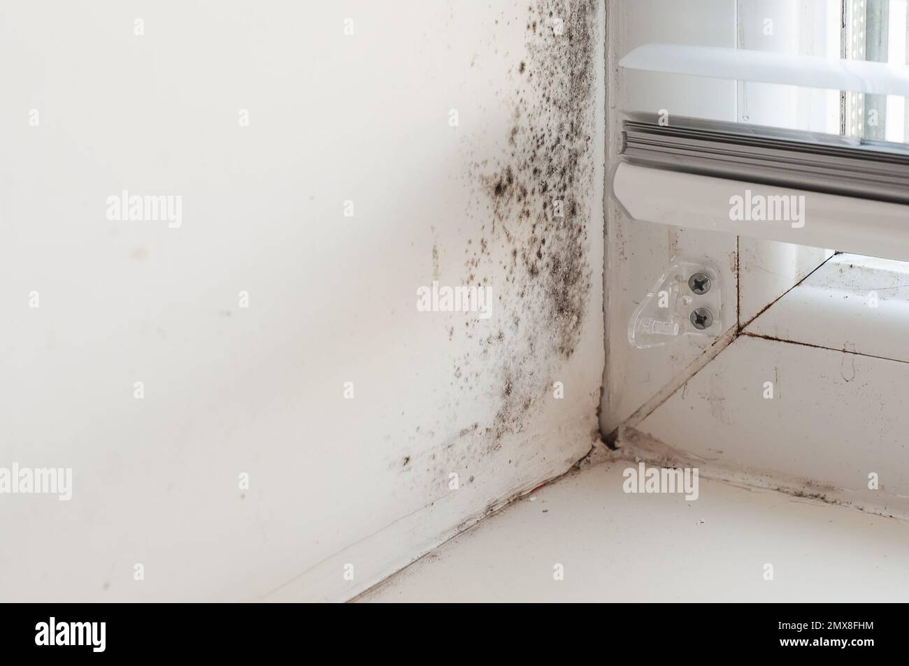 Black mold on the window slope, plastic window with condensation. The