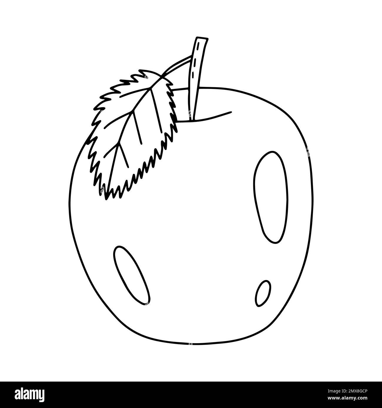 Hand drawn apple doodle illustration Stock Vector Image & Art Alamy
