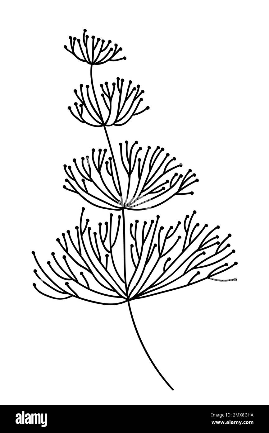 Seaweed vector doodle illustration Stock Vector Image & Art - Alamy