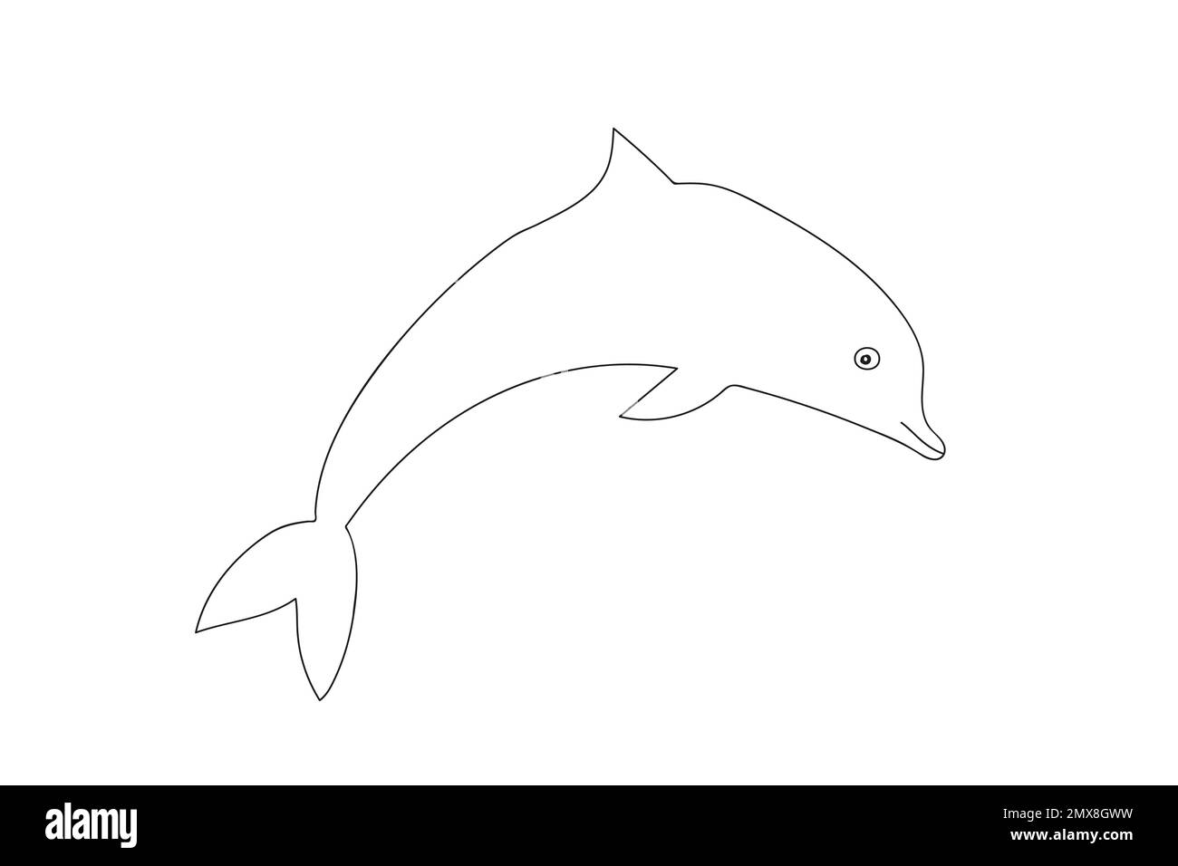 Hand drawn dolphin illustration Stock Vector Image & Art Alamy