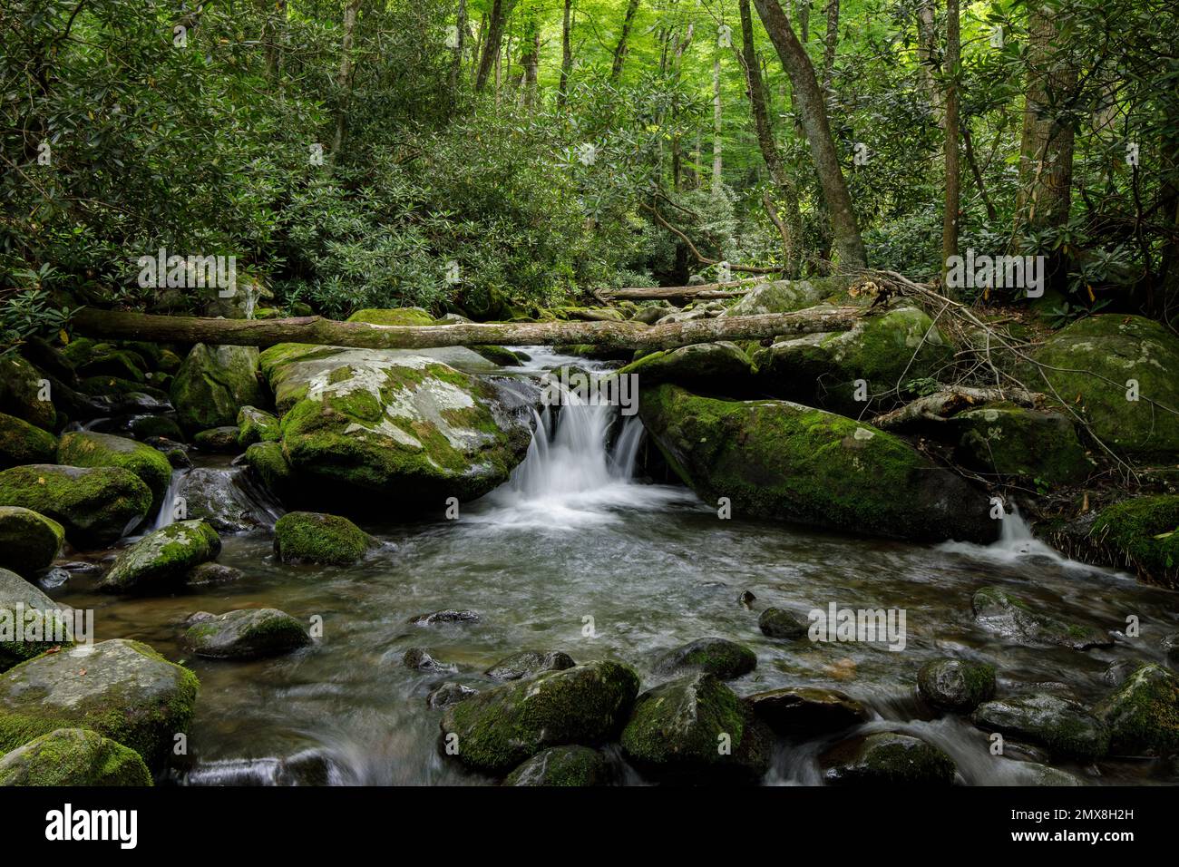 The Roaring Fork stream behind the historic Jim Bale's Place along the