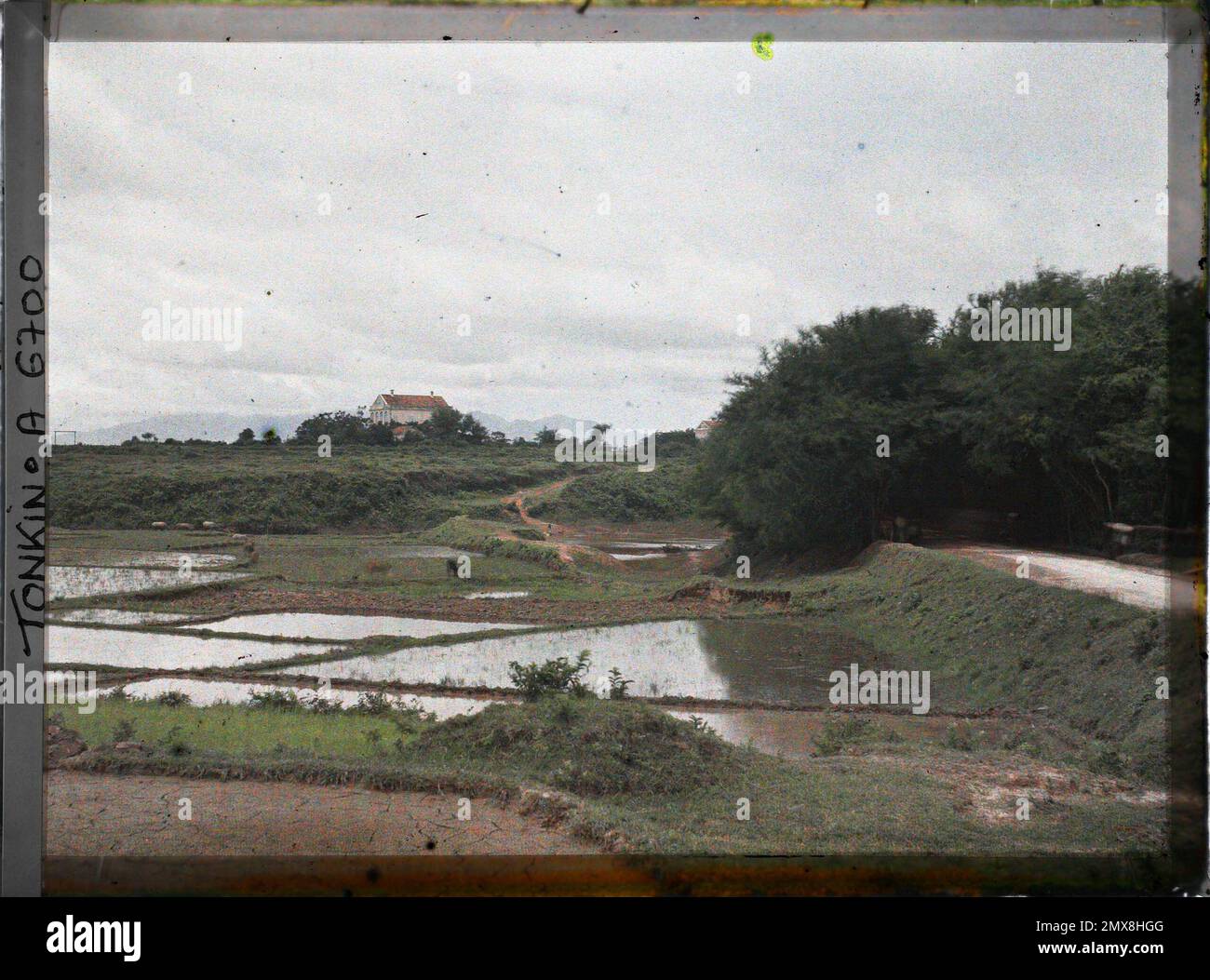 Tong, province of So 'N-Tâi, Tonkin, Indochine A rice field near the village , Léon Busy in Indochina Stock Photo