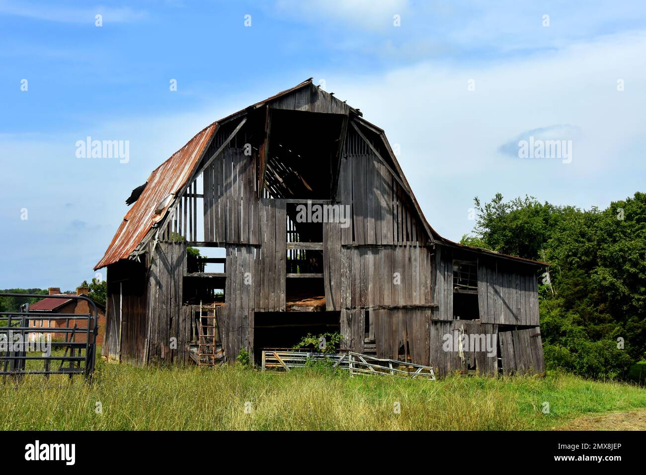 Abandoned wooden barn is broken down with missing boards, rusting tin roof, and broken down gate. Stock Photo
