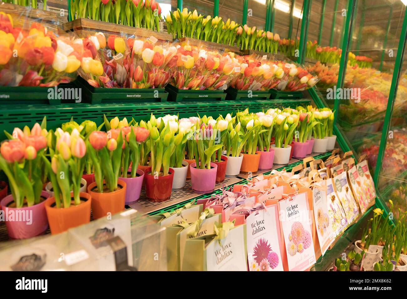 The flower shop in Amsterdam Airport Schiphol. Tulip is the symbol of
