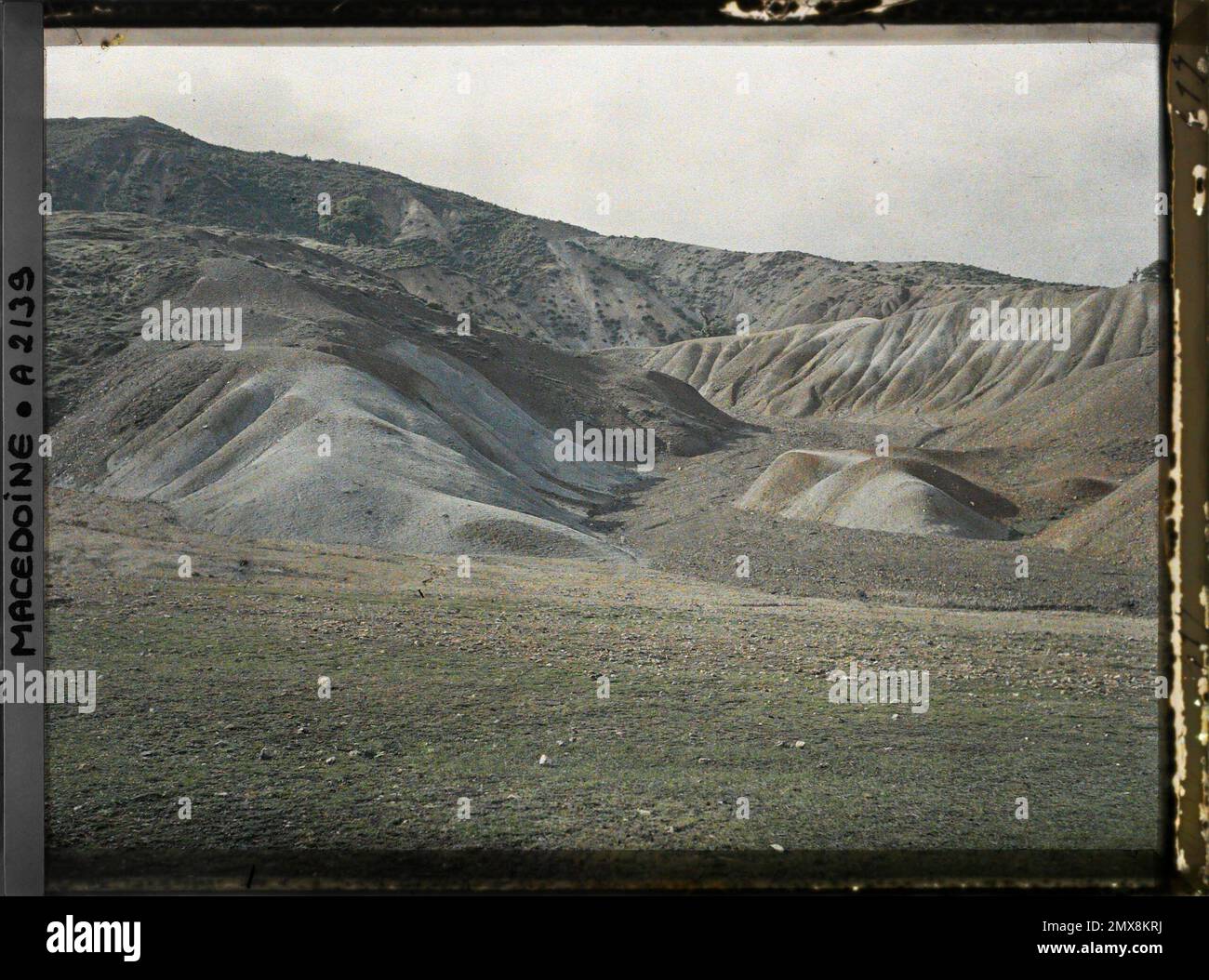 Current openica hi-res stock photography and images - Alamy