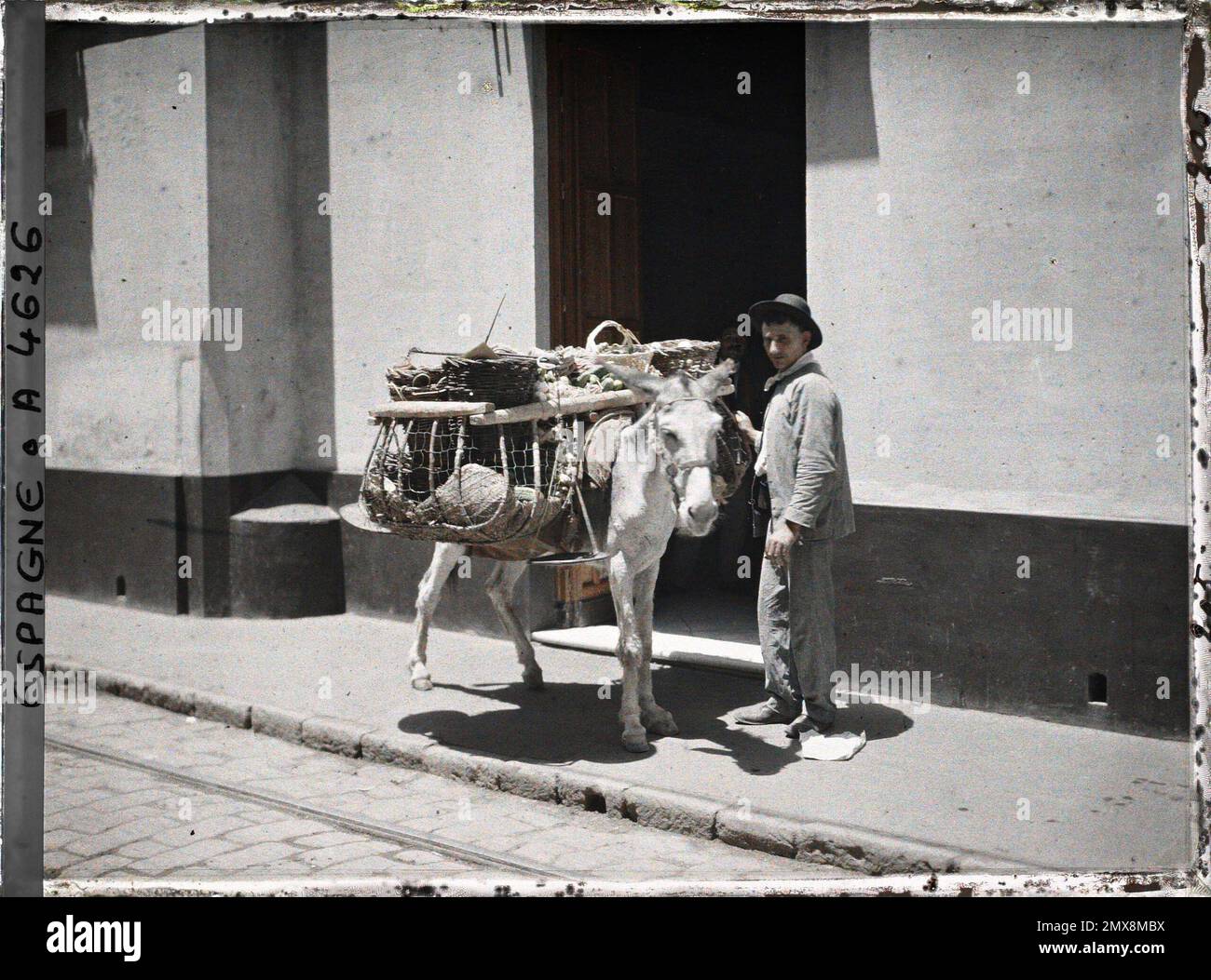 Seville, Spain a roofing merchant of vegetables and his donkey , 1914