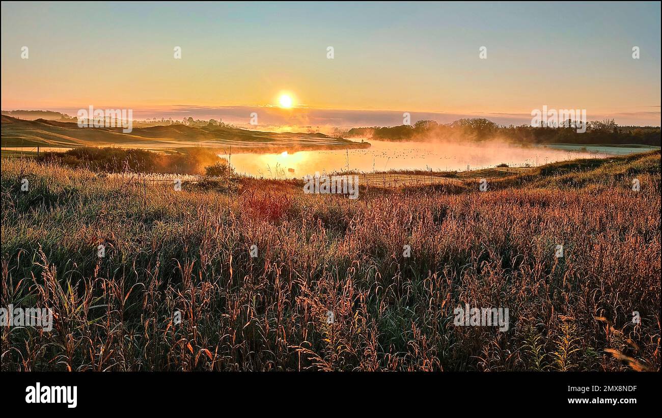 Sunrise in the golf club with mist and migration birds in autumn Stock Photo