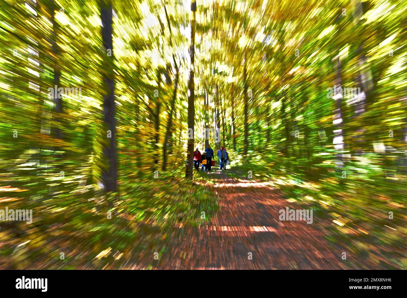 Abstract natural background concept. Zoom movement effect with a family walking in the forest Stock Photo