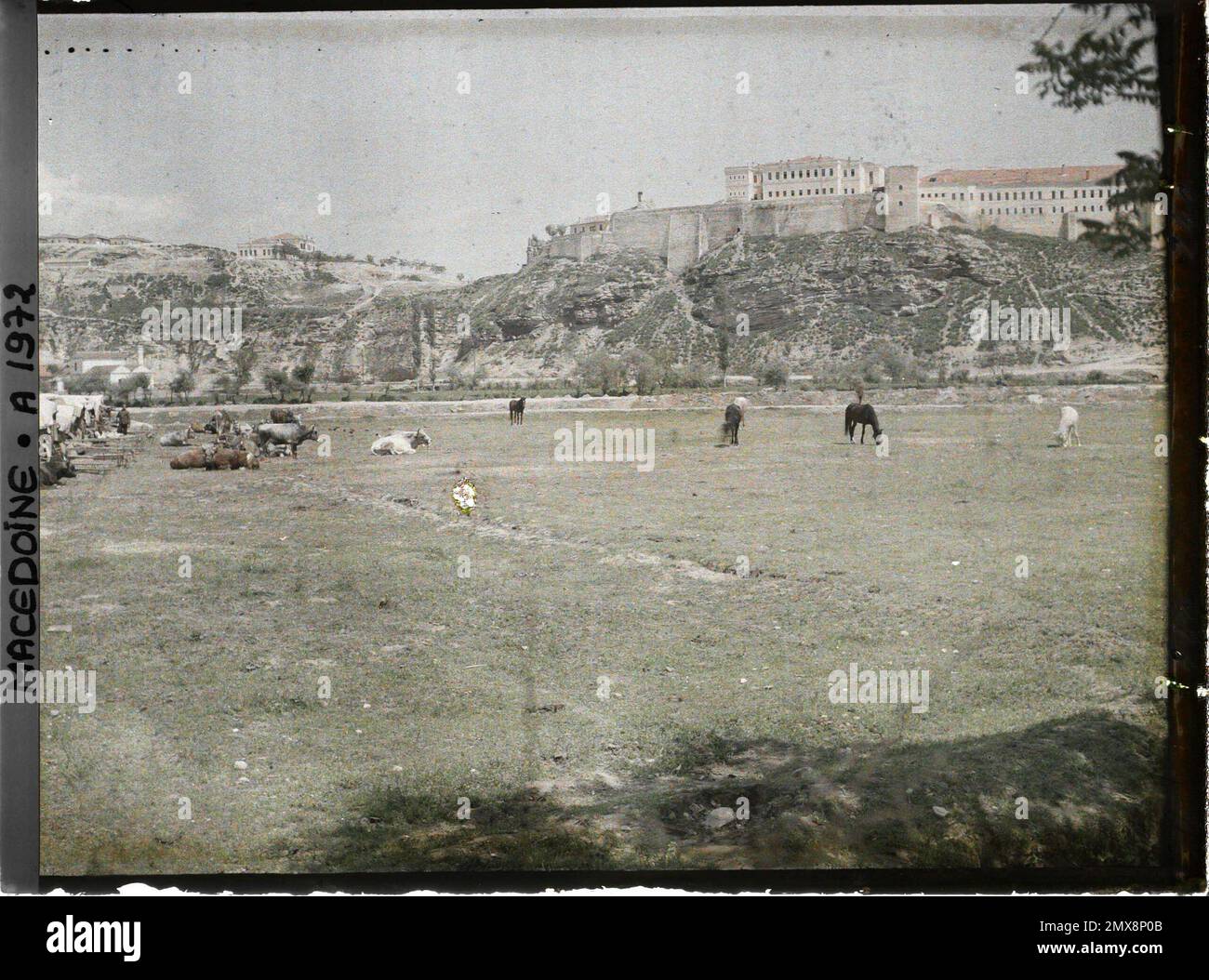 Yougoslavie (Macédoine), Skopje, Banque Nationale, Tirage vintage, ca.1930 by Photographie originale / Original photograph: (1930) Photograph | photovintagefrance