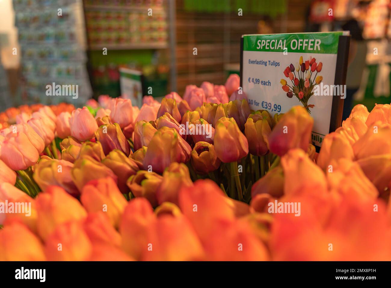 The flower shop in Amsterdam Airport Schiphol. Tulip is the symbol of