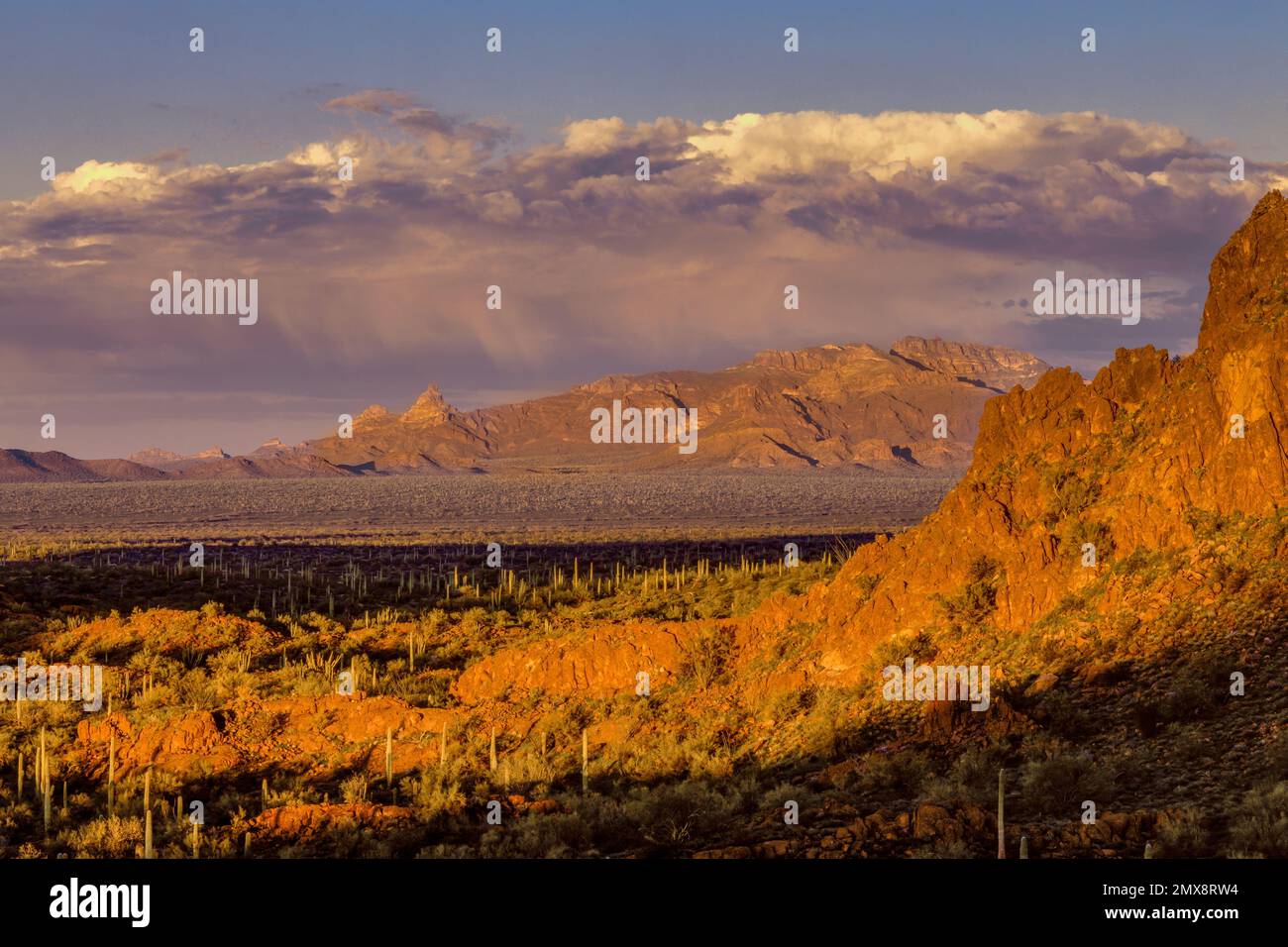 Sunset Sonoyta Valley Ajo Mountains Organ Pipe Cactus National