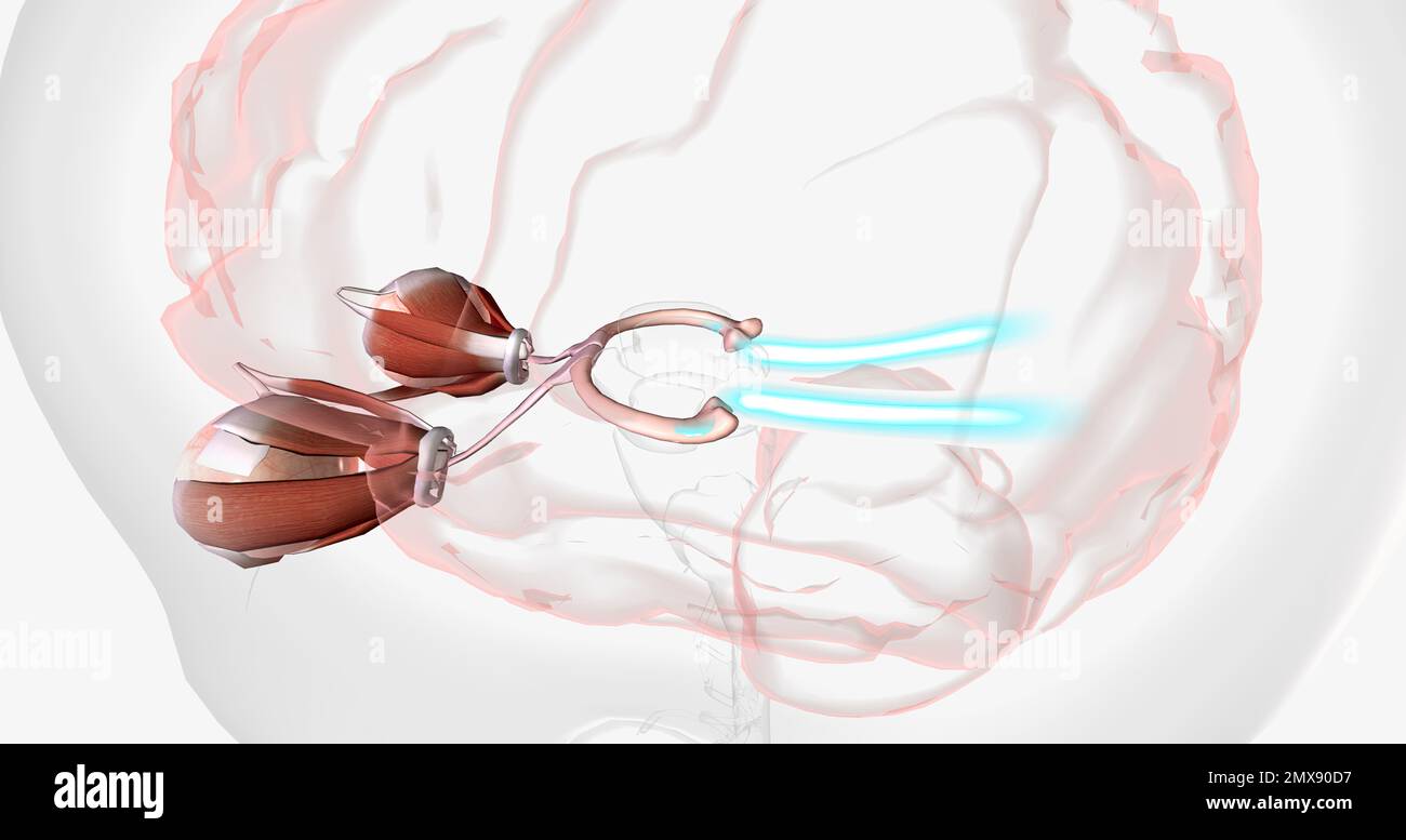 Eye movement desensitization and reprocessing therapy hi-res stock ...