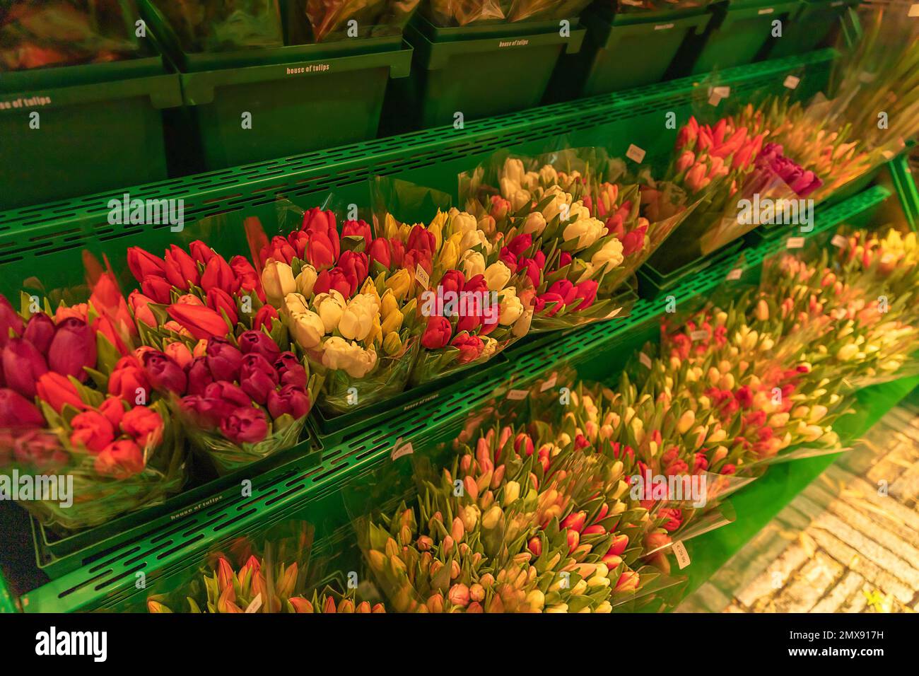 The flower shop in Amsterdam Airport Schiphol. Tulip is the symbol of