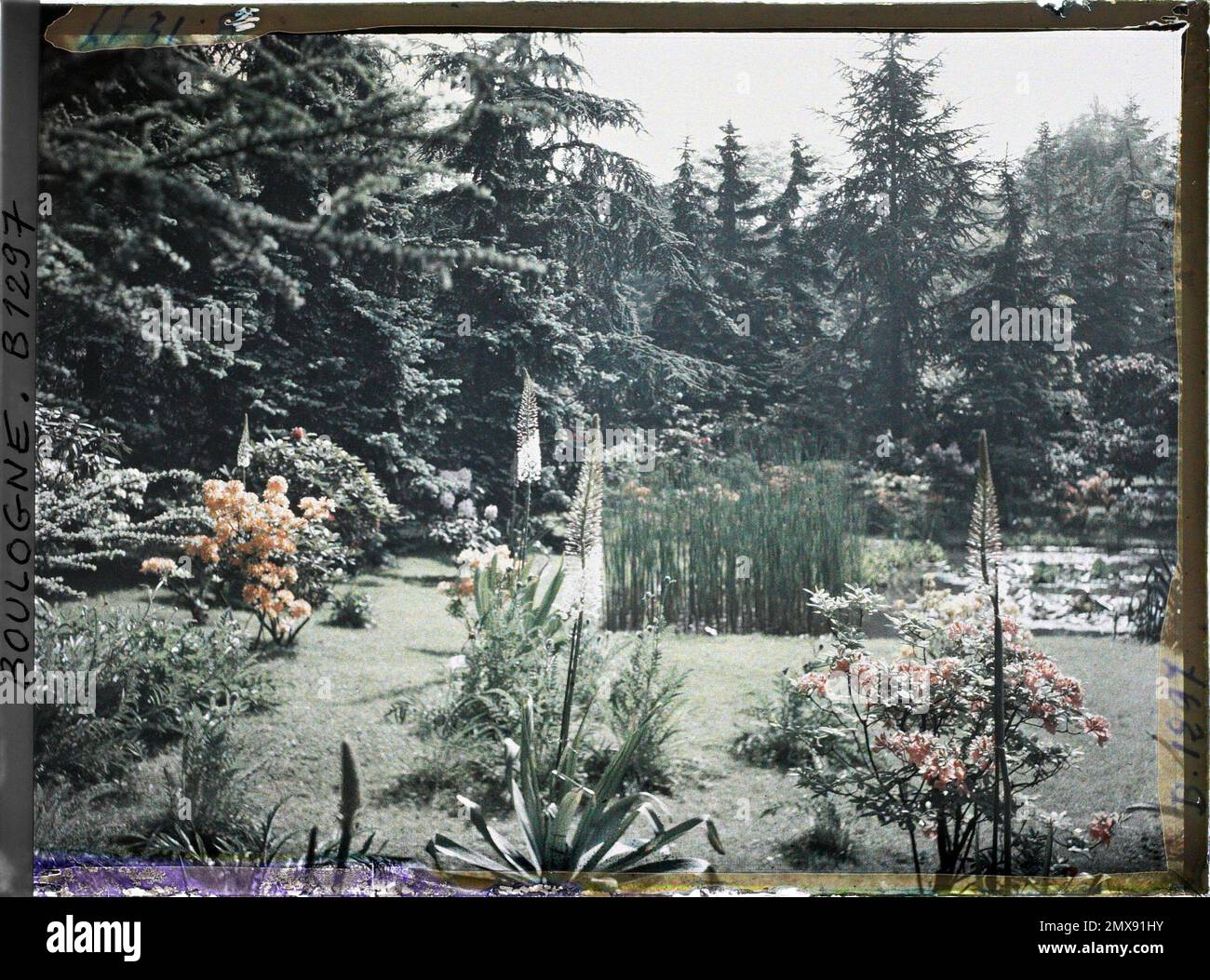 Property of Albert Kahn, Boulogne, France La Pelouse near the Marais , Stock Photo
