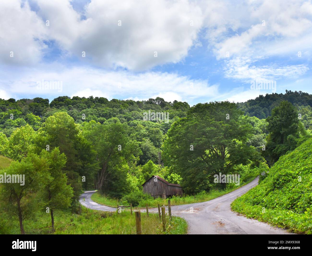Narrow country lane forks in front of rustic, wooden barn. Road runs