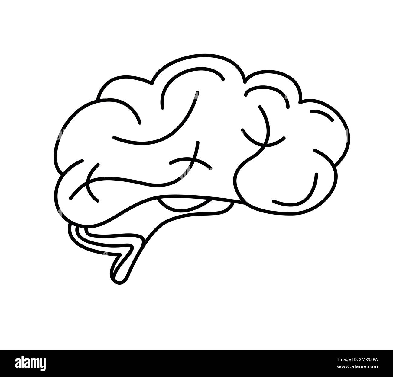 Illustration of human brain on white background Stock Photo - Alamy
