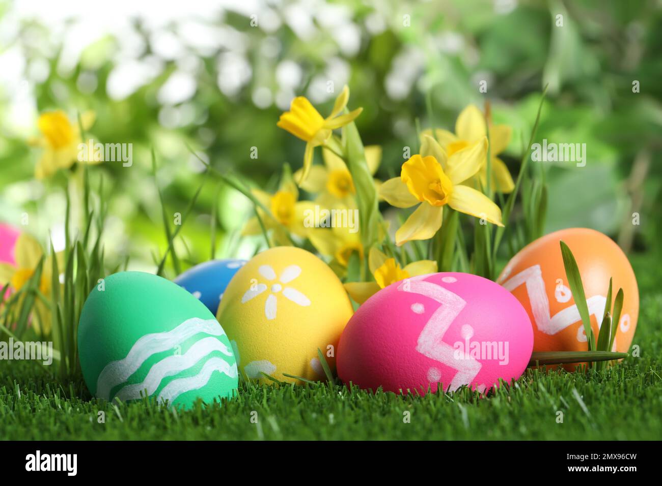 Colorful Easter eggs and daffodil flowers in green grass Stock Photo ...