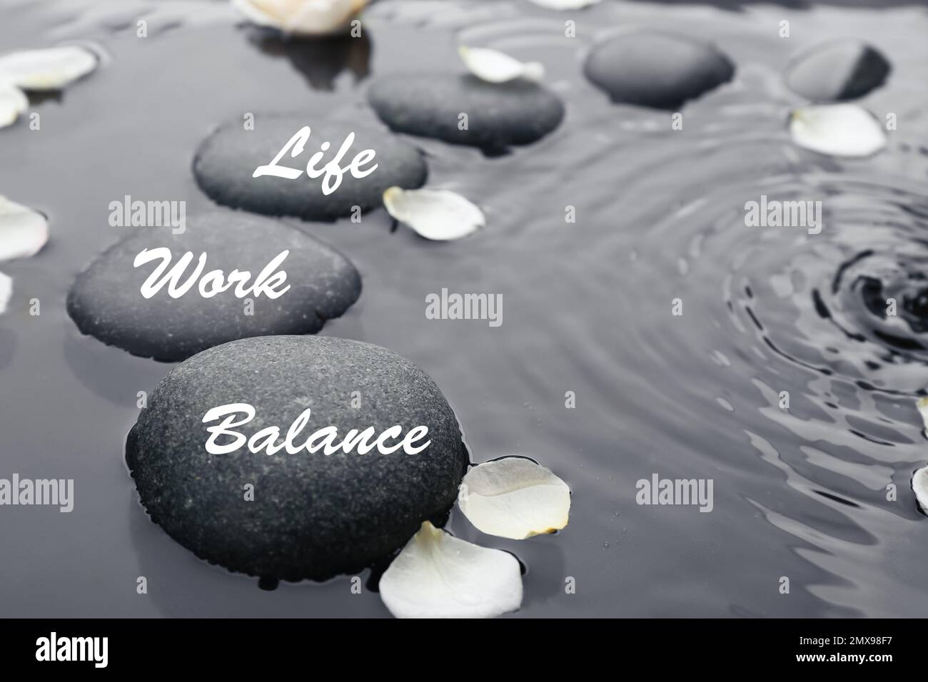 Work-life balance concept. Stones and flower petals in water Stock ...