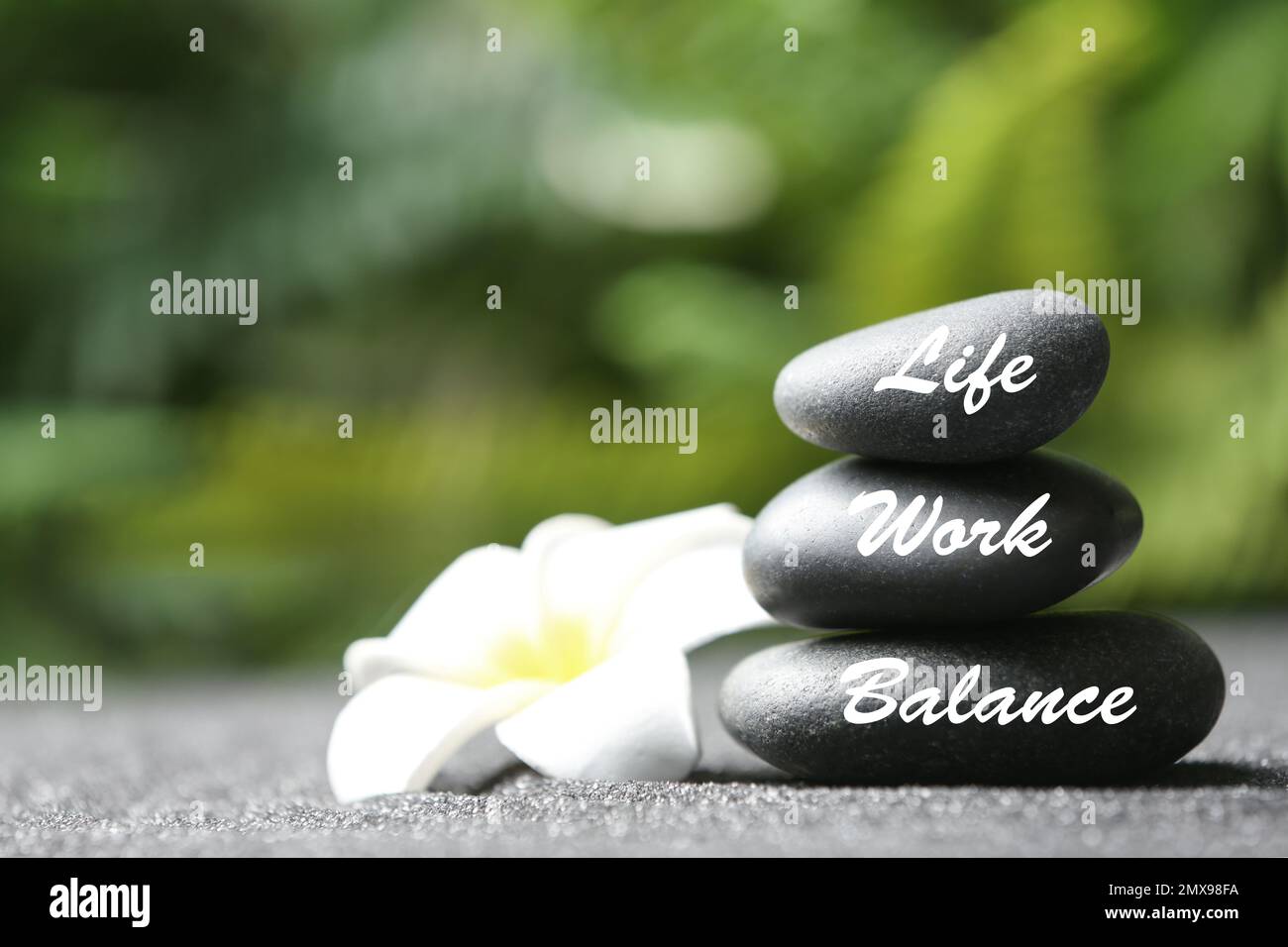 Work-life balance concept. Stacked stones and plumeria flower on sand ...