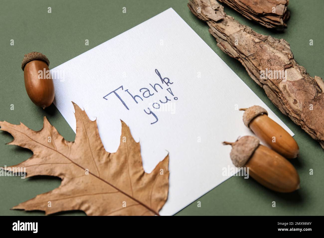 Paper sheet with text THANK YOU, acorns, leaf and tree bark on green ...