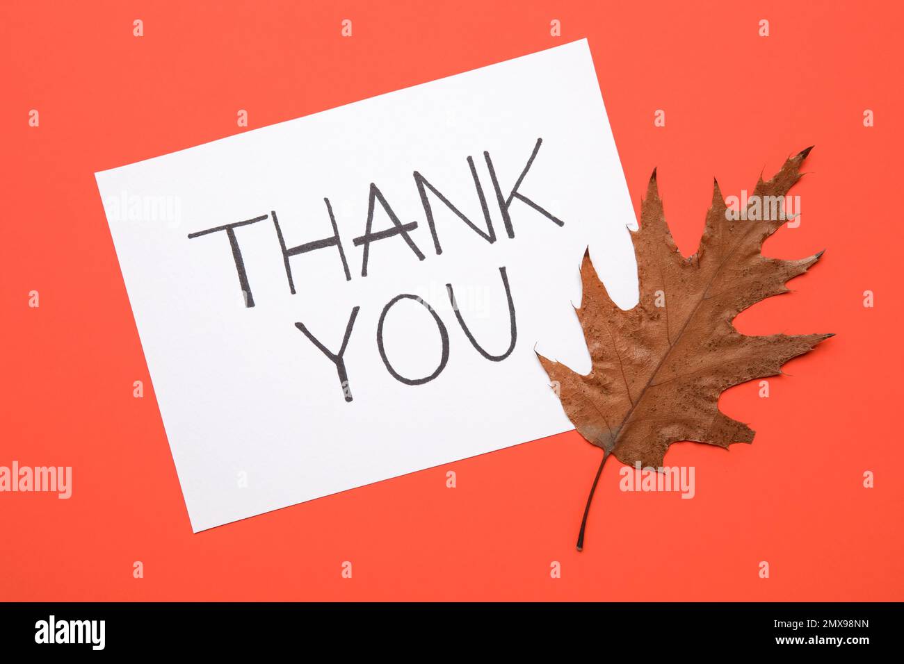 Paper sheet with text THANK YOU and leaf on red background Stock Photo