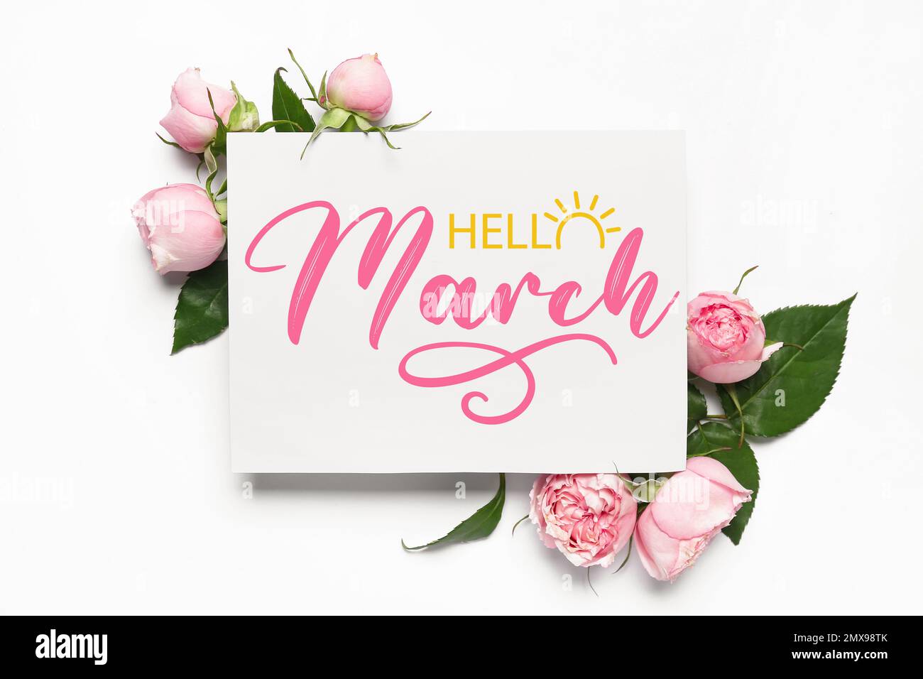 Hello spring gift card Cut Out Stock Images Pictures Alamy