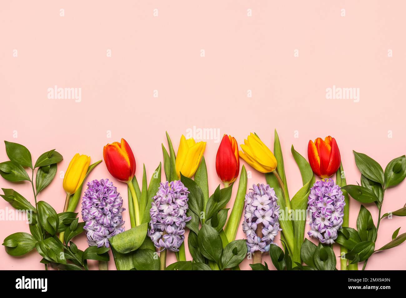 Composition with beautiful tulip flowers and plant branches on color background Stock Photo