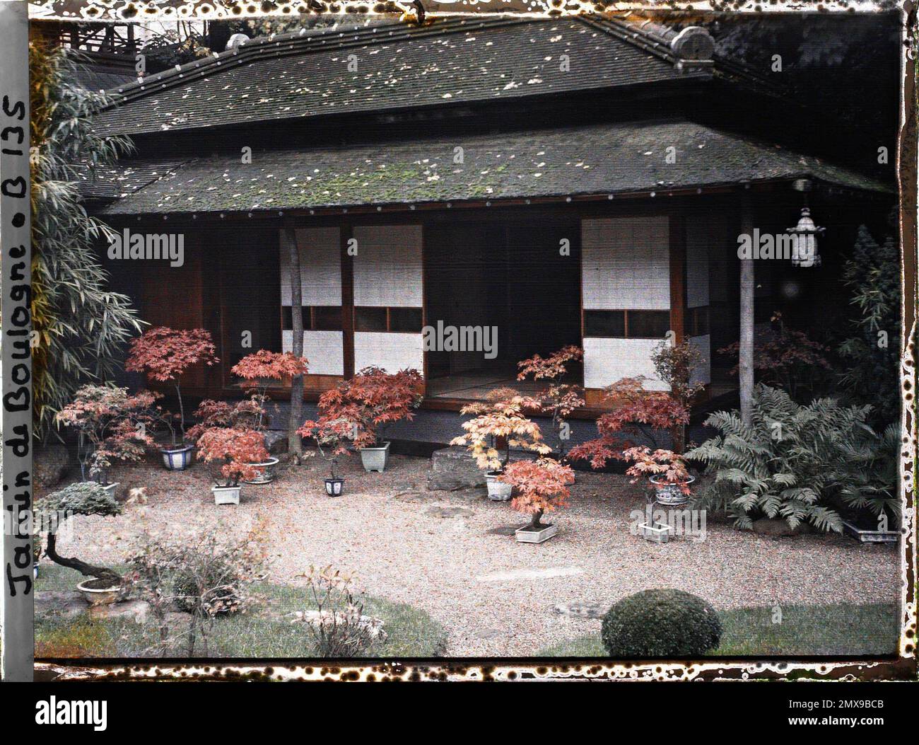 Property of Albert Kahn, Boulogne, France house is from the "Japanese village", adorned with rolly -free maple bonsais , Stock Photo