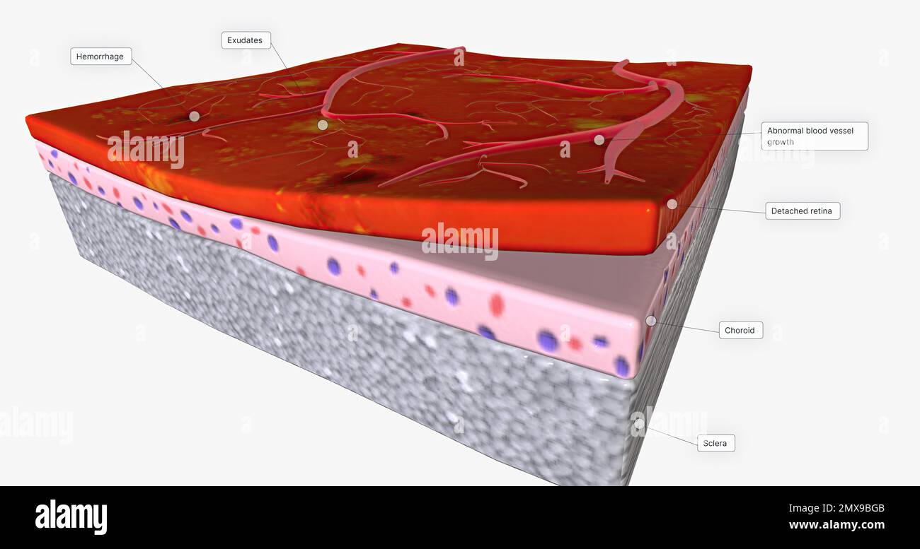 Human nerve tissue microscopy hi-res stock photography and images - Alamy