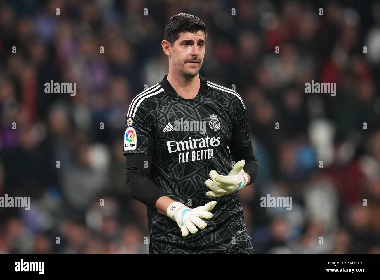 Real Madrid: Thibaut Courtois se puede perder toda LaLiga 2023-2024 por  lesión, TUDN La Liga