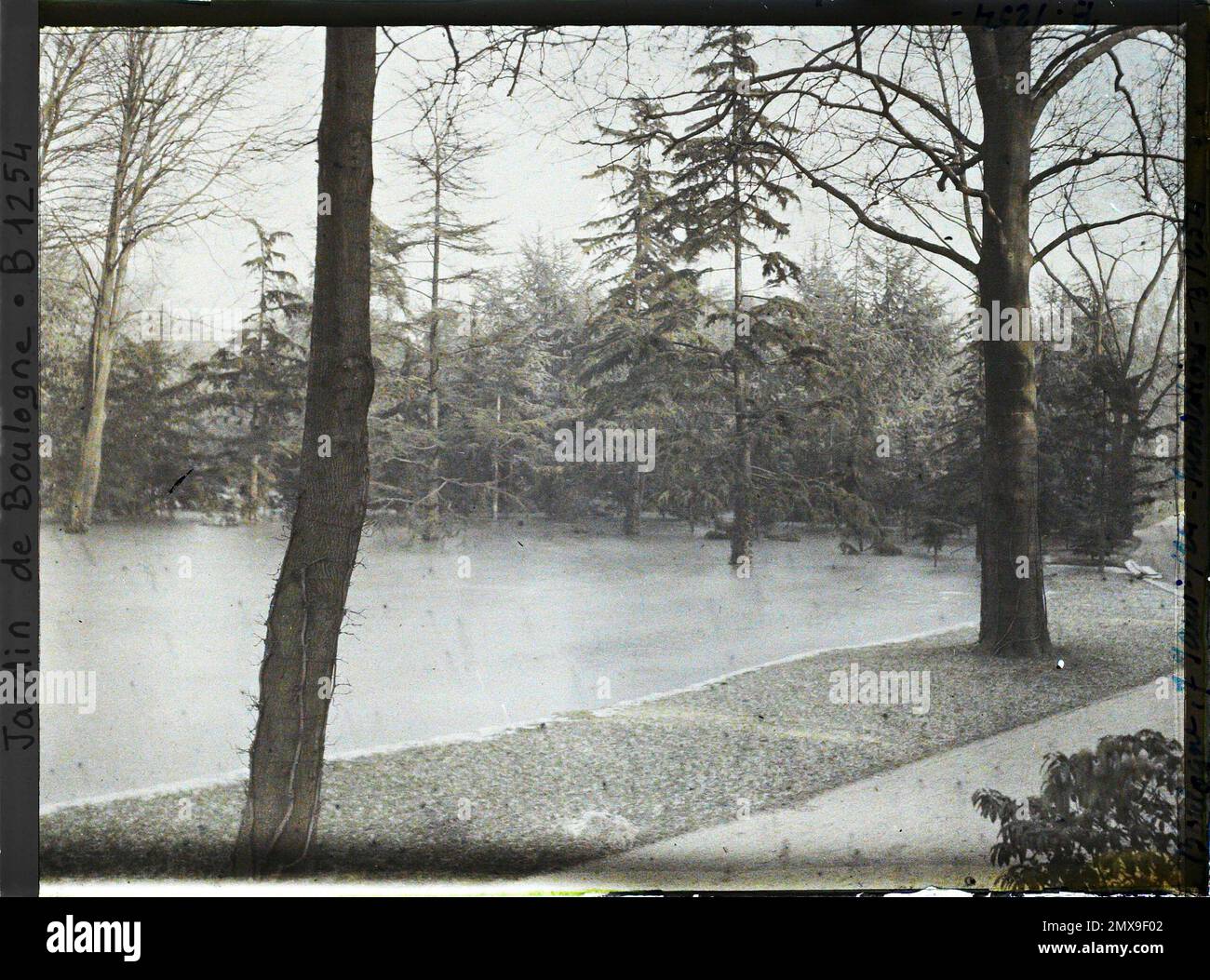 Property of Albert Kahn, Boulogne, France La Grande Pelouse flooded and partly frozen , Stock Photo