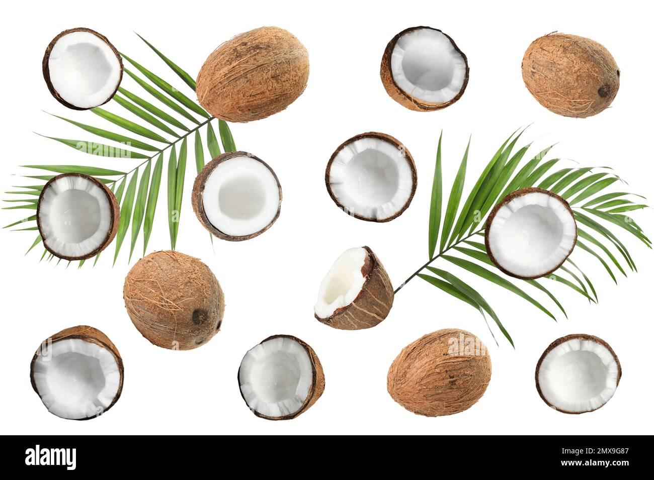 Set with ripe coconuts and palm leaves on white background, top view Stock Photo
