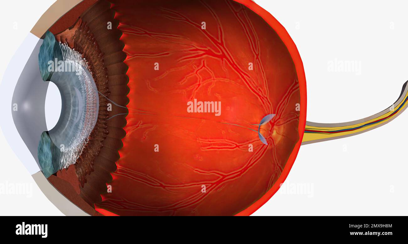 Intraocular pressure normal