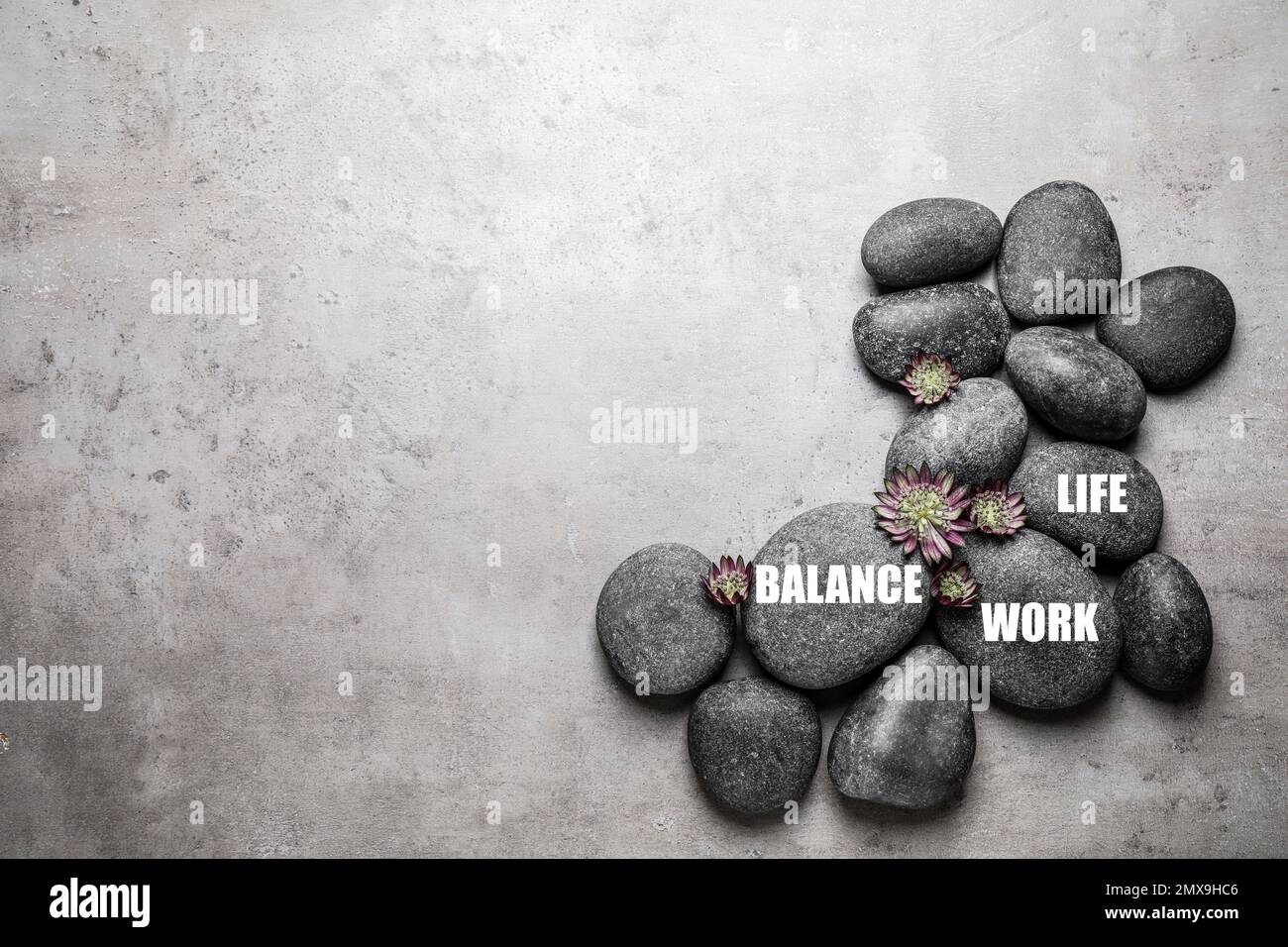 Work-life balance concept. Stones and flowers on grey background, flat ...