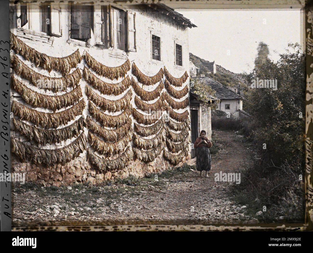 (French - Po?itelj , Bosnie-Herzégovine Tabac sur une maison et sur les murs). Stock Photo