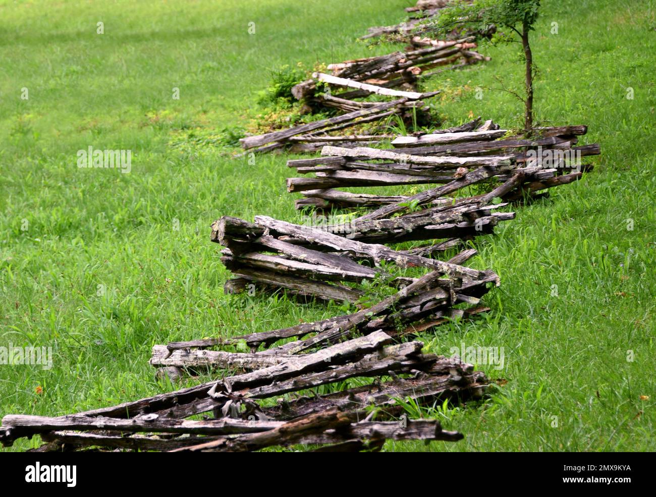 Split rail fence zig zags across green field. Rails are stacked to