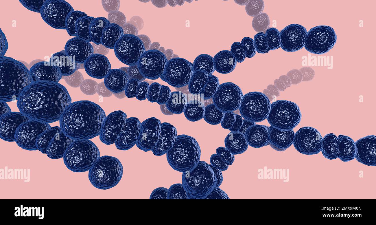 The Strep Throat, Bacterial Infection 3D rendering Stock Photo Alamy